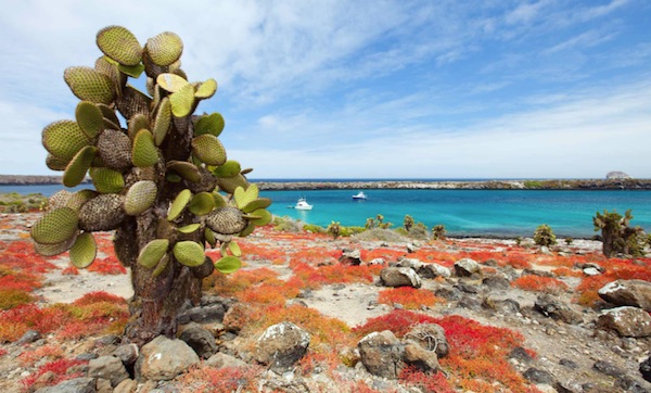 Galapagos Islands