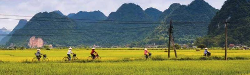 Cycling in South East Asia with Exodus Travels