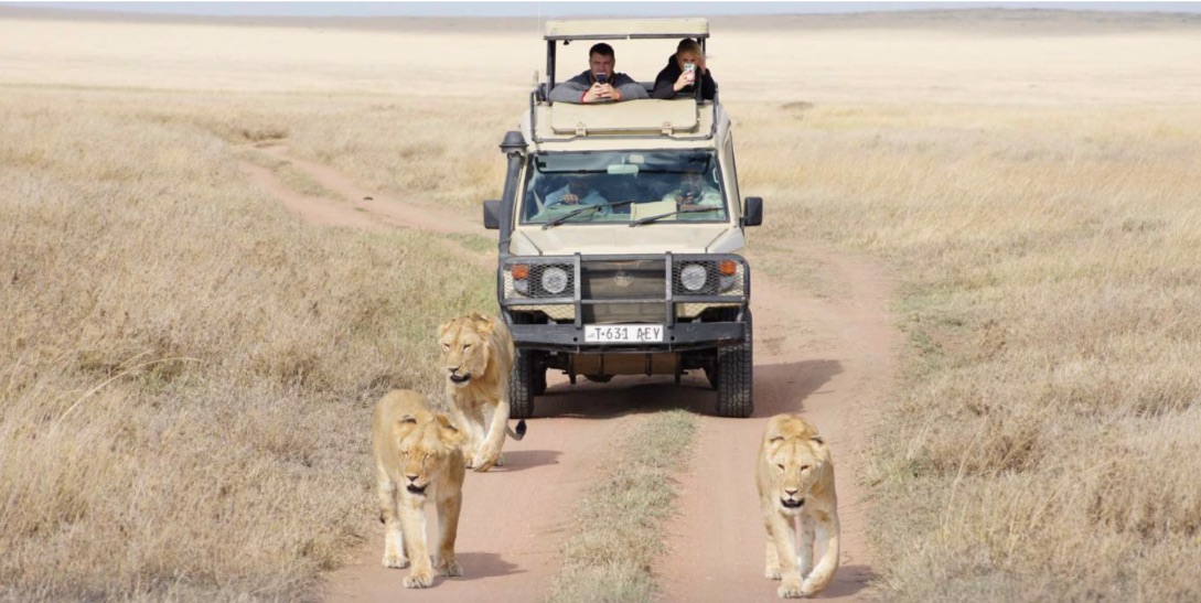 Serengeti National Park, Tanzania