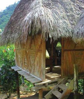 Borneo accommodation