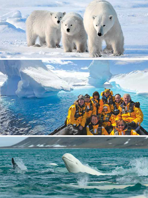 Discover the Polar regions with World Journeys