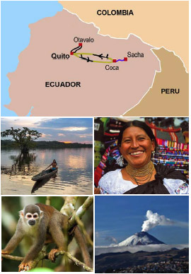 Discover the Andes and Amazon.