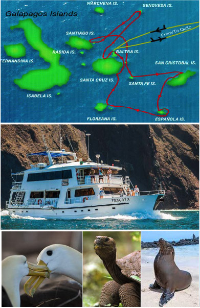 Cruise the wonderland of the Galapagos.