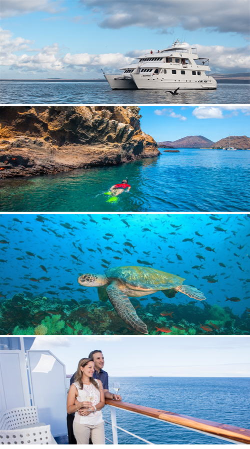 Discover the world in a more intimate way.