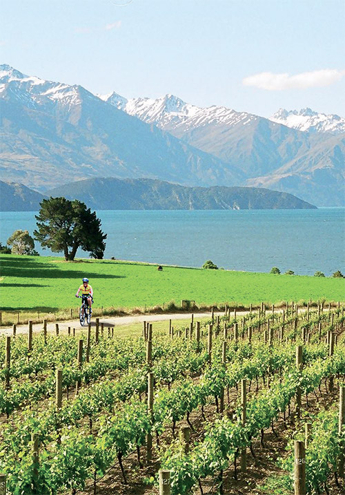If you enjoy an active lifestyle and the great outdoors, then these holidays are for you.