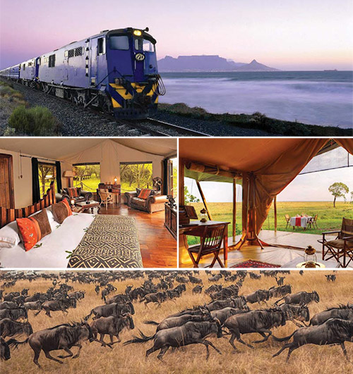 The Best Of Africa In One Exclusive Air & Train Tour