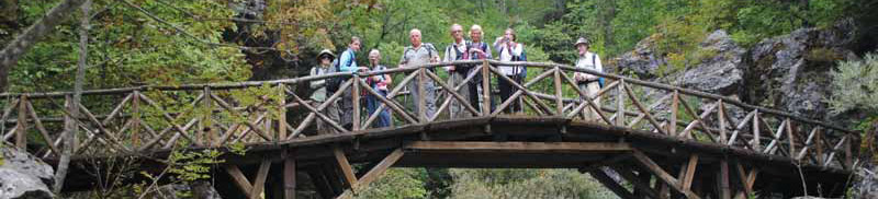walking tours