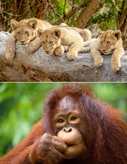 Discover the world in a more intimate way.